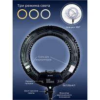 Лампа кольцевая OKIRO LED RING 480 SY 3161 