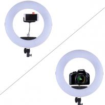 Кольцевая лампа OKIRA LED RING FD 480 (корпус черный, розовый, белый)+монитор 