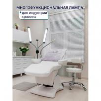 Лампа настольная светодиодная с двумя плафонами OKIRA LED 224 SM 1885 